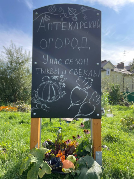 Региональная инновационная площадка.